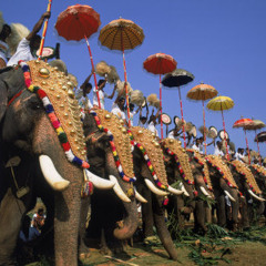 March of the Elephants