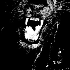 Bullwack - Lord Skapula