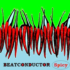 Beatconductor; Only A Thrill (from the release Balearic Beauties Spicy Di002)
