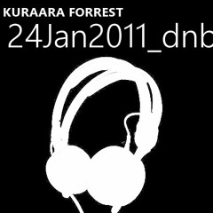 24Jan2011_dnb