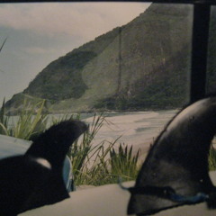 Prainha