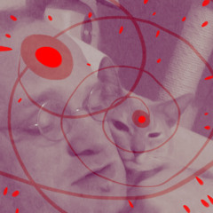 Liberace's car horn sounds like a Mellotron