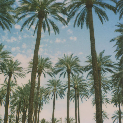 mitch murder (feat. kristine) - alright