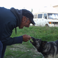 VVVVVV_VK / MY ABELLA (ALÍ) / THE WAILERS / CHANT