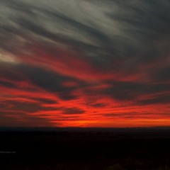 zet. - red sky