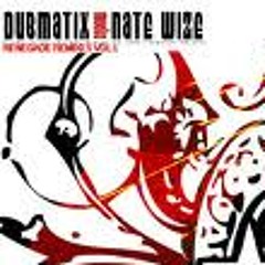 Renegade Remixed Vol. 1 [Dubmatix vs. Nate Wize