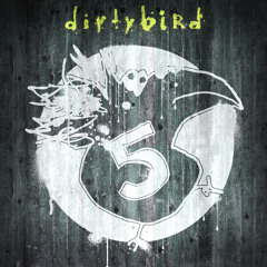 VonStroke live @ dirtybird 5 year birthday, San Francisco - Feb 2010