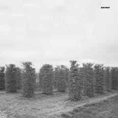 Acker 019 B1 Douglas Greed - Western Hives (Mollono.Bass Remix) - Buschhof EP