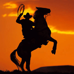 BlackEqualizer - Western