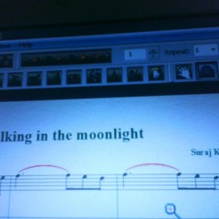 Walking in moonlight
