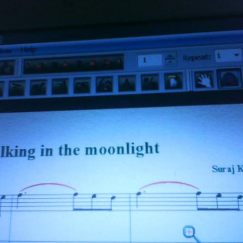 Walking in moonlight