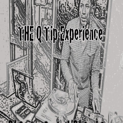 Q Tip the Experience