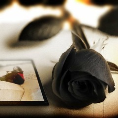 ႏွင္းဆီ၀ကၤပါ