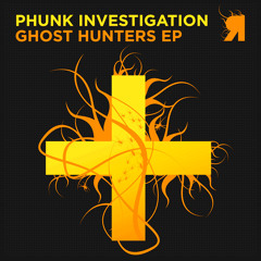Phunk Investigation - Spirit (Sasha Carassi Remix)