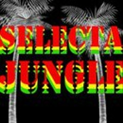 Remix Collection!