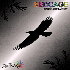 BIRDCAGE Candelight Fantasia (Attemporal `change  Remix - SoundCloud Edit) Trailing Records 003