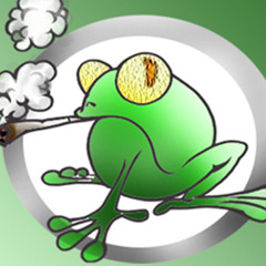 Dikke Dampende Walmen 2008