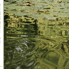 Secrets of the lake - sample / flag.frog