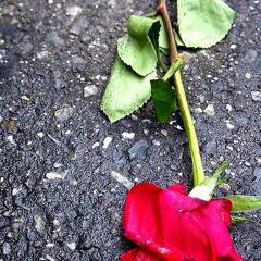 Love,Almost Forgotten(Почти Забравена Любов-Васил Найденов) backing Track