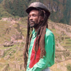 Bim SHerman - Use Your Head
