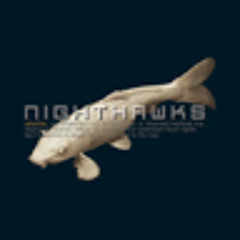 Hard Nights Day - Album: 4