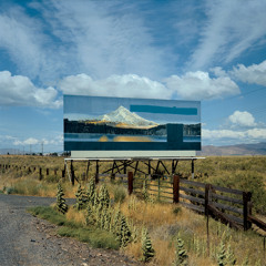 2011 Assorted Cookies