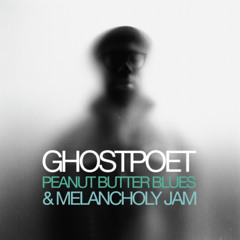 Ghostpoet - Survive It
