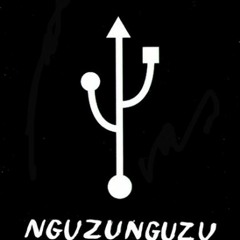 Nguzunguzu - Mirage (Brenmar Remix) (release date March 28!)