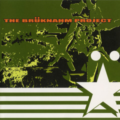 Siba Dub Plate-Brüknahm Project