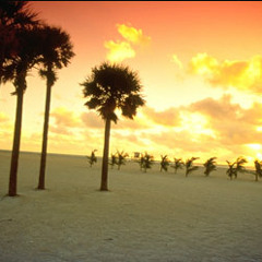 Swedish House Mafia Vs. Groove Mafia - Leave The World Alone in Love (Roger Thomas Mashup)