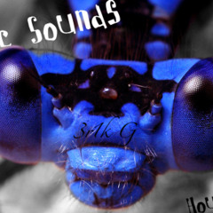 3xot1c Sounds (3r1k G MiX)  03-02-11