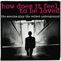 How Does It Feel To Be Loved The Scenics Play The Velvet Underground By The Scenics
