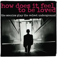 How Does It Feel To Be Loved The Scenics Play The Velvet Underground By The Scenics