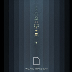 Delooze 'We Are Transient' (Coin Operated Boy Remix Preview)