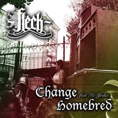 FLeCK - CHANGE ft MC YINKA