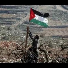 Palestine aka Ledr P & Alibi- idak fi daye