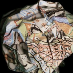 C'è mancato un pelo, Georg Elser