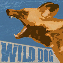 Olivier Corre & Radek Azul Band "wild dog"