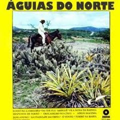 Águias do Norte - Vento