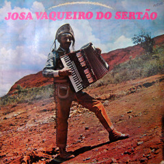 Josa Vaqueiro do Sertão - Valente é o bem-te-vi