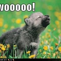 Werewolves of London - Warren Zevon (Daheen Rmx)