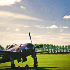 Pilot's Day Dream