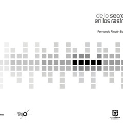 de lo secreto en los rastros - Fernando Rincón E. - uiachii. guitarra y electrónica