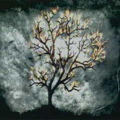 DAK☣RE -Tha Ring-☢☢☢