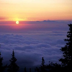 The Morning Sun (Again)