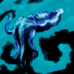 CUTTLEFISH