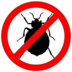 Mr. Kindhoover - Don't Let The Bedbugs Bite