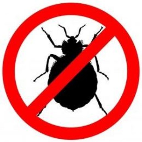 Mr. Kindhoover - Don't Let The Bedbugs Bite