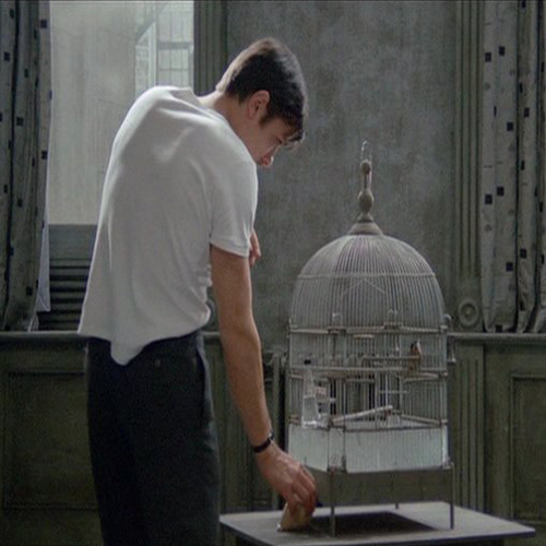 Le Samourai ft. Adaline