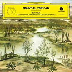 Nouveau Yorican - Boriqua (Douster remix)